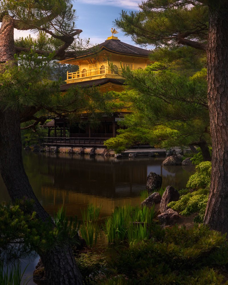 Photograph by SANDEEP MATHUR