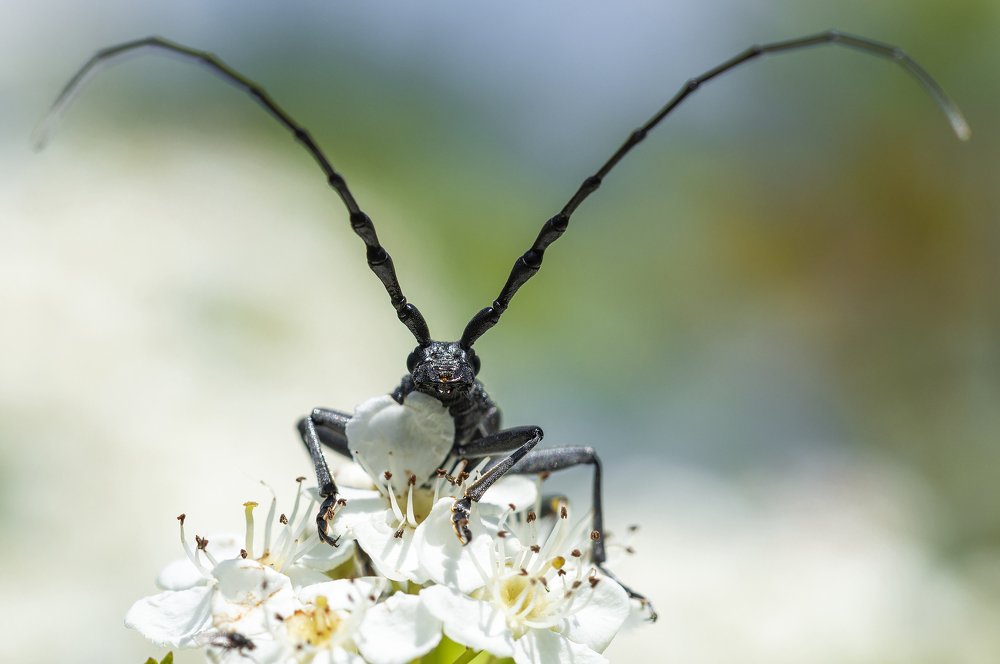 Photograph by Юрій Стороженко