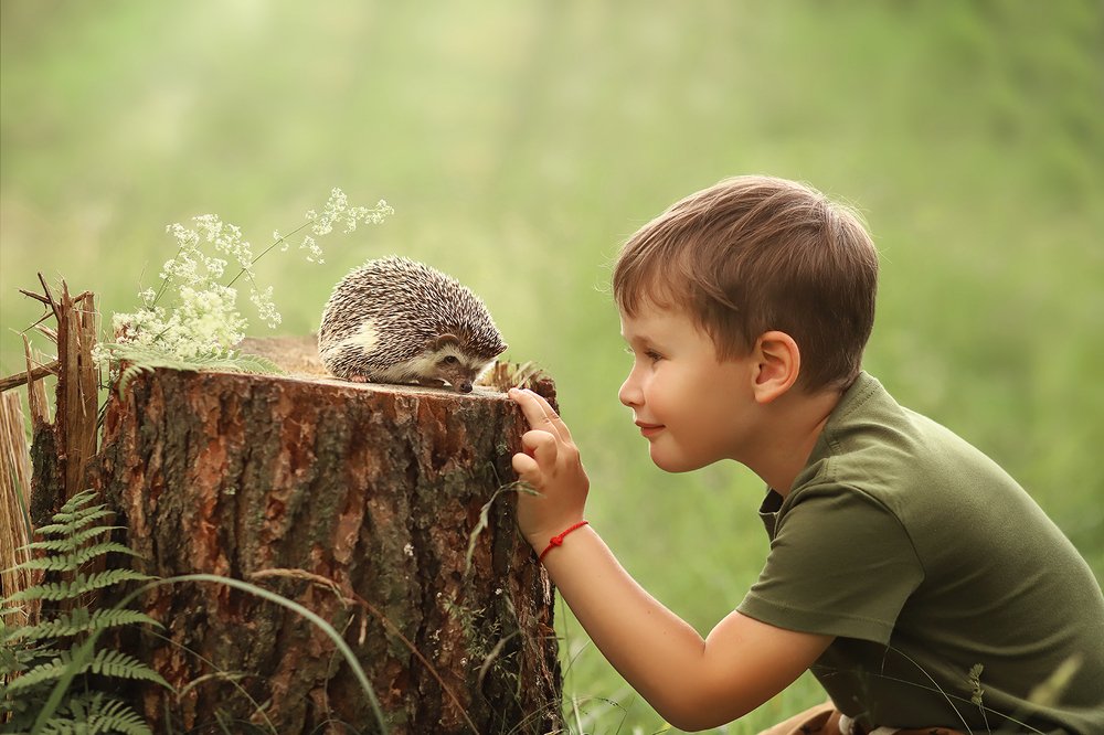 Photograph by Юлия Густова