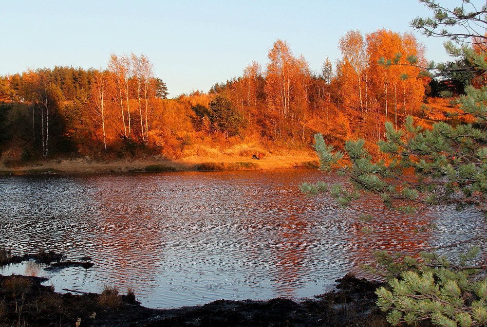 Мила,родная сторона!