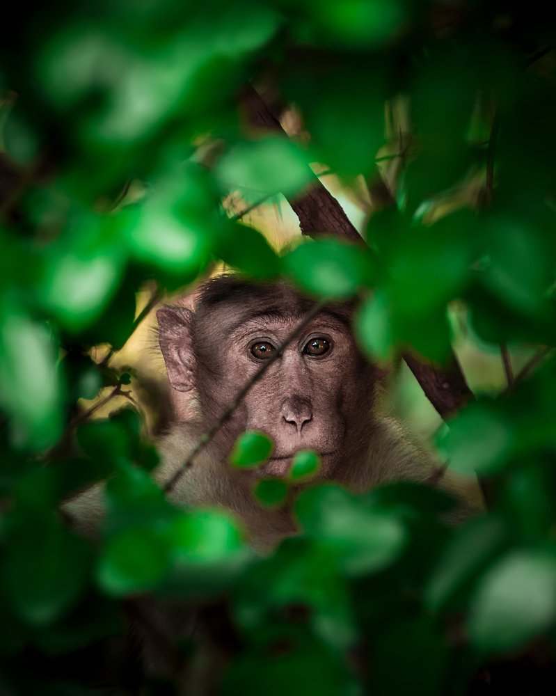 Photograph by amarsen chauhan