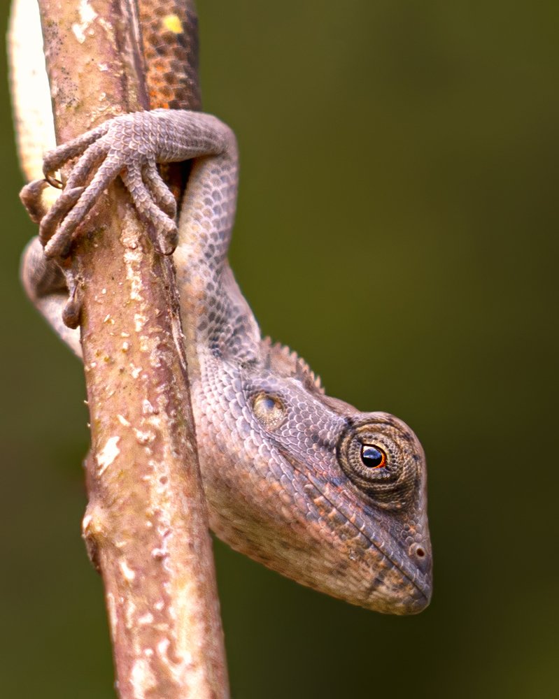 Photograph by amarsen chauhan