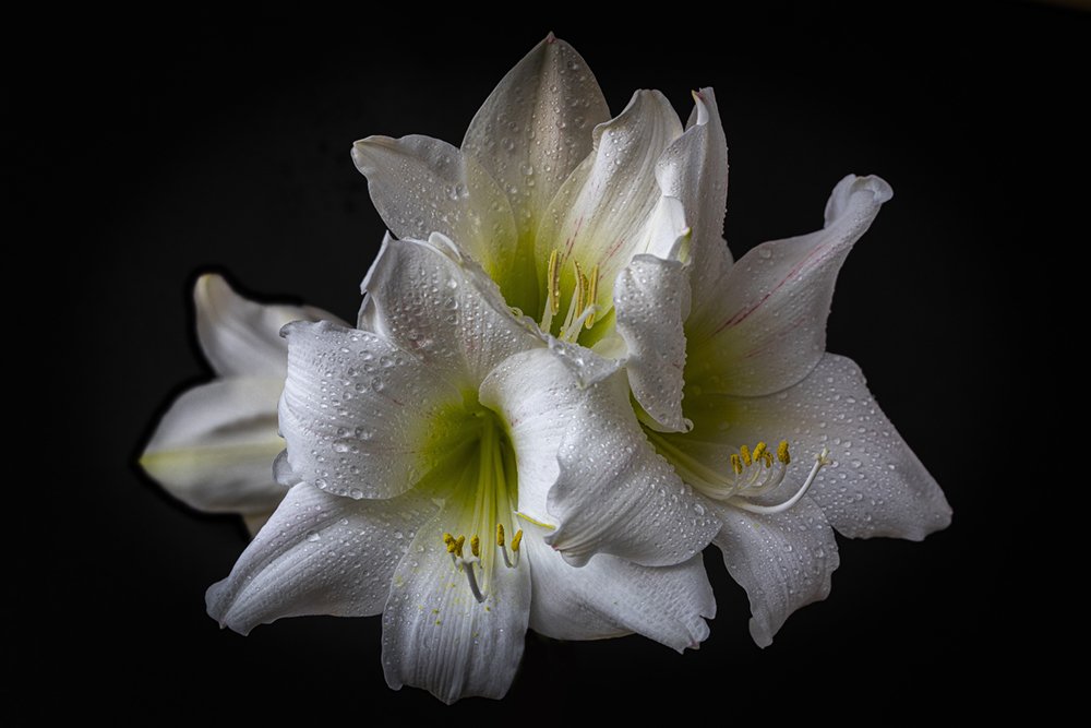 Photograph by Normunds Kaprano