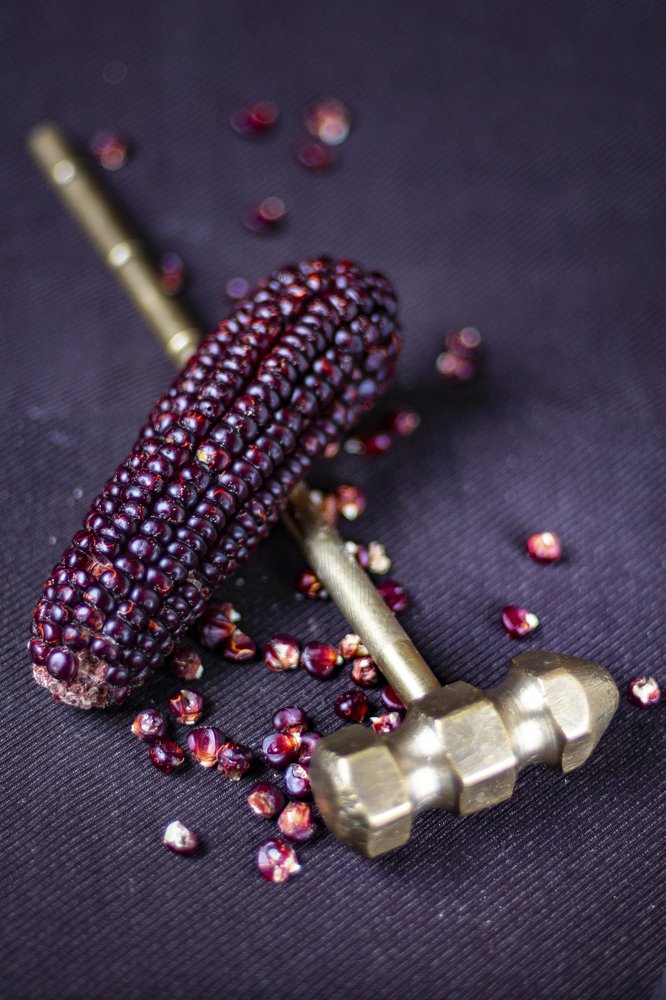 Photograph by Youssef Rahmaoui