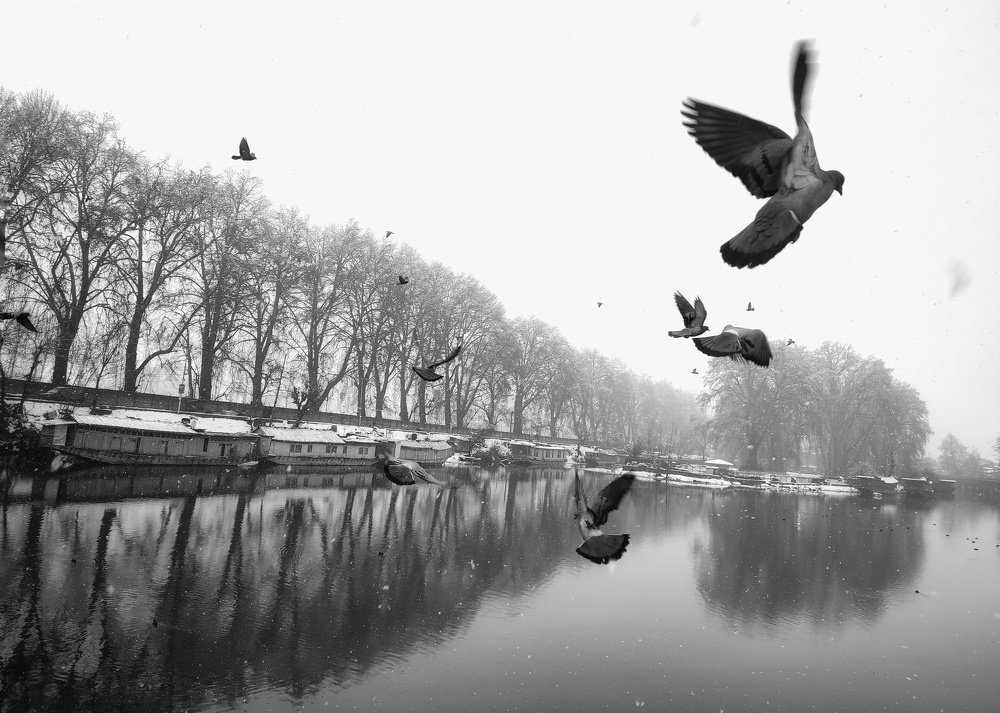 Photograph by Shahid Mushtaq