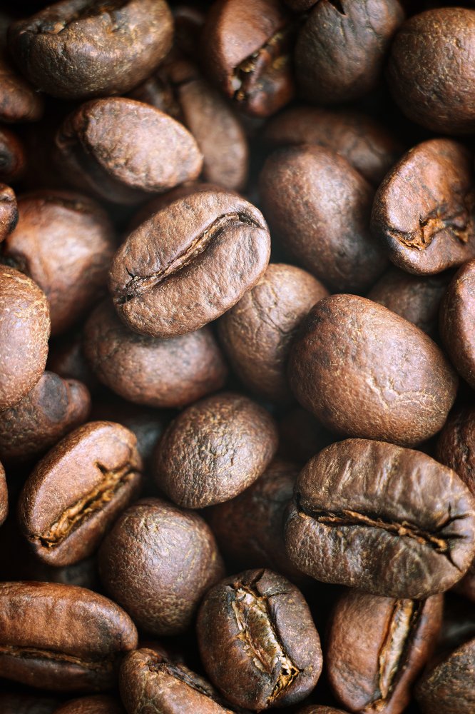 Photograph by Monika Vychodilova