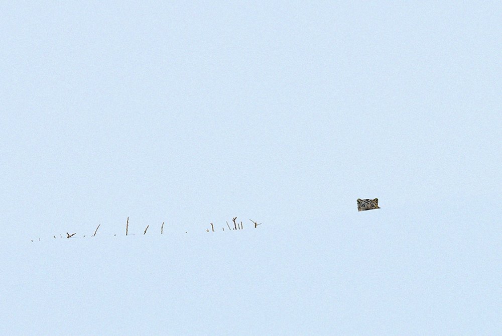 In Search Of The Himalayan Myth