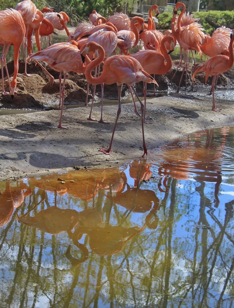 Photograph by Mina Stojadinović