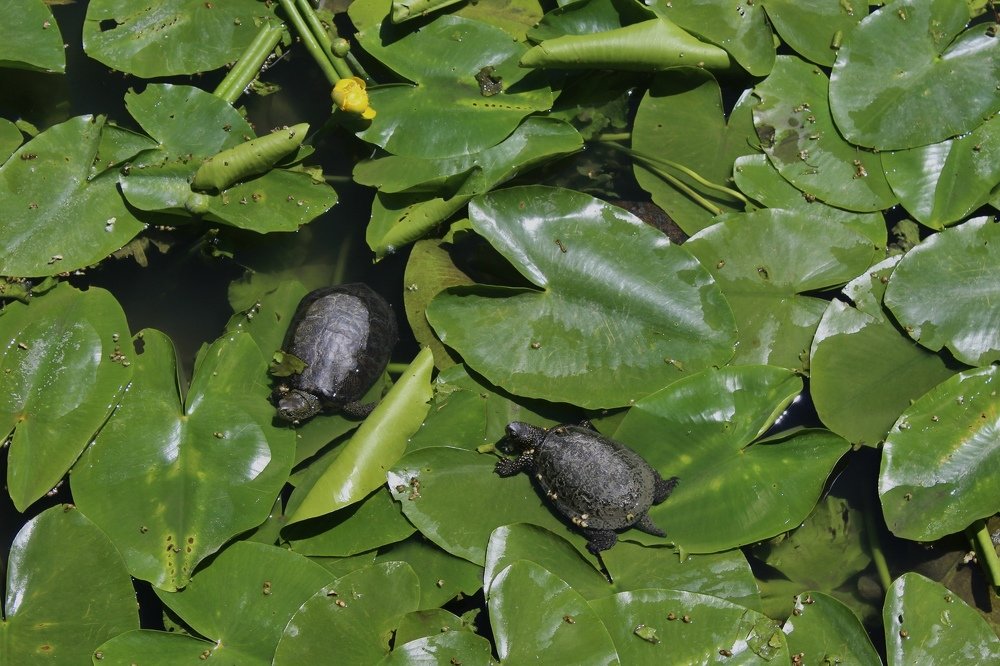 Photograph by Mina Stojadinović