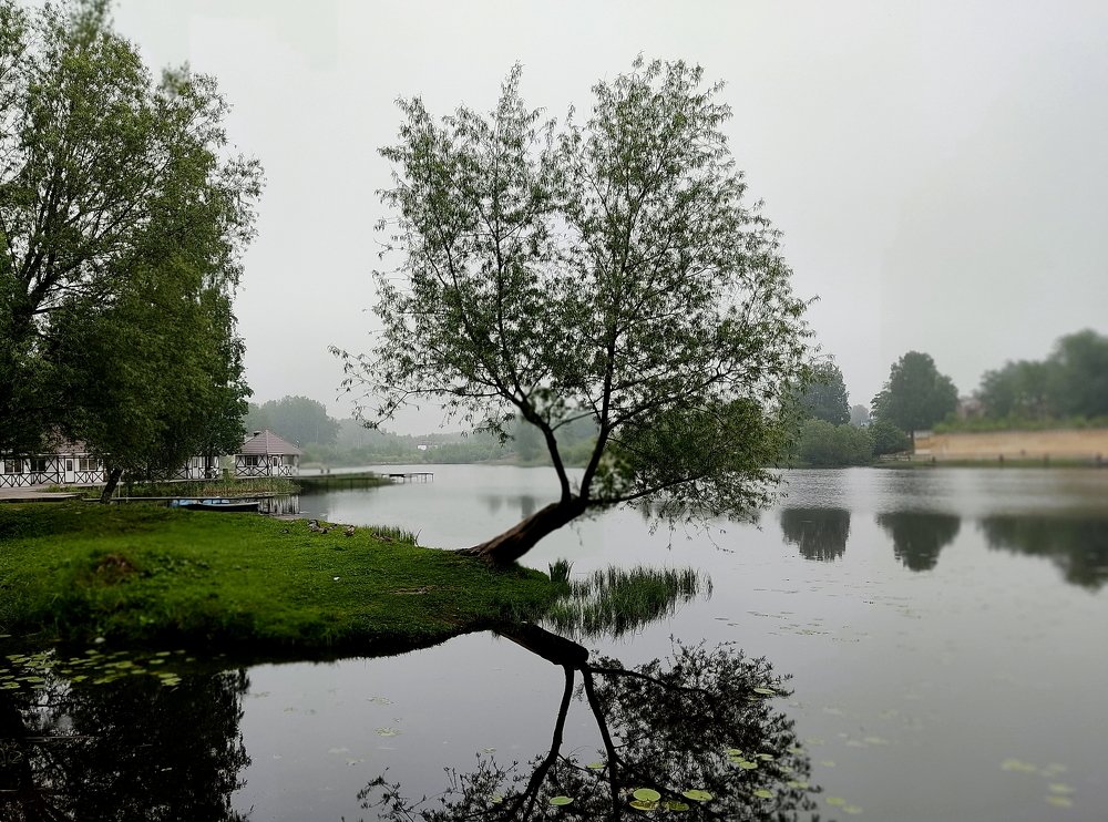 Утренний туман на озере.