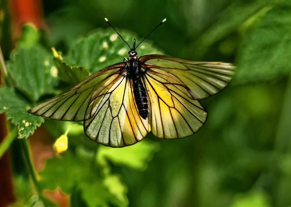 Photograph by Сергей Балухта