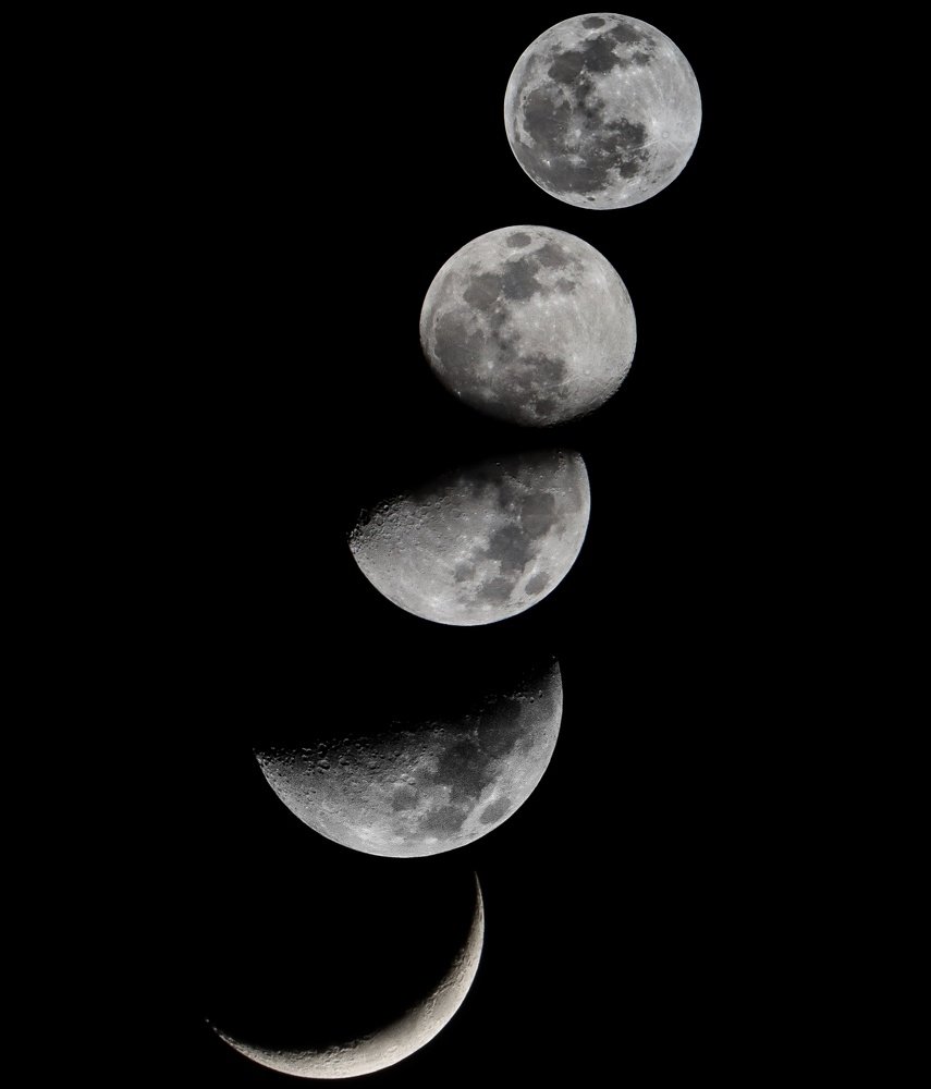 Photograph by Biswajit Bhattacharjee