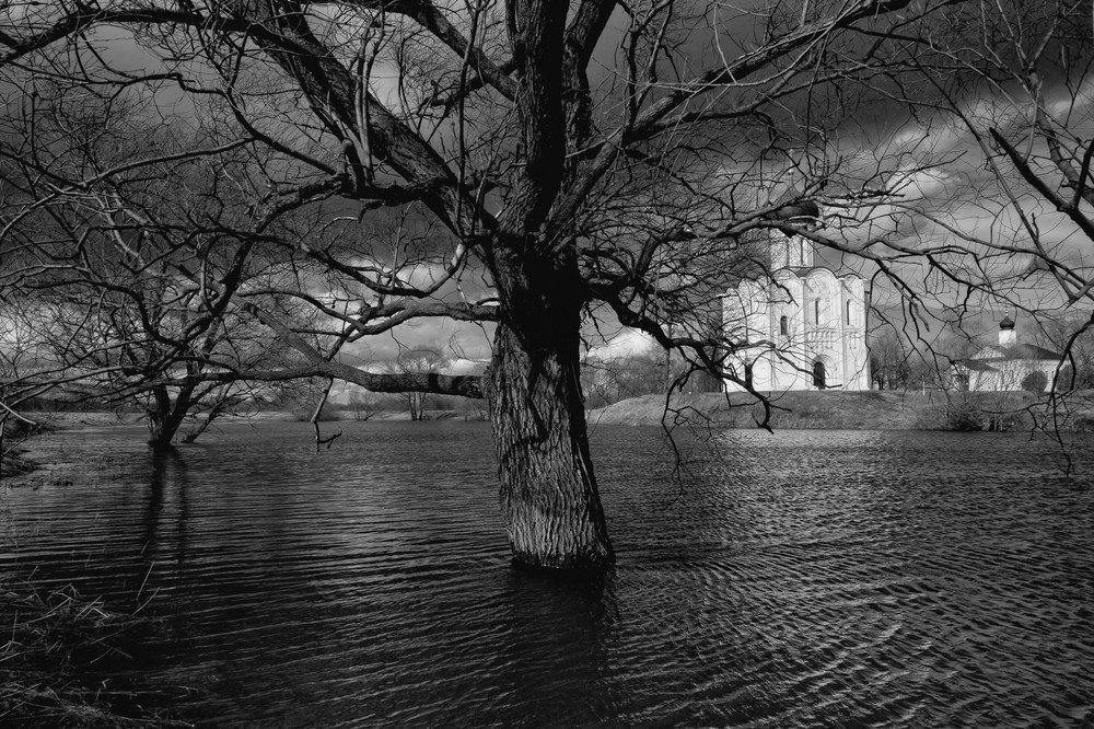 Photograph by Владимир Федин