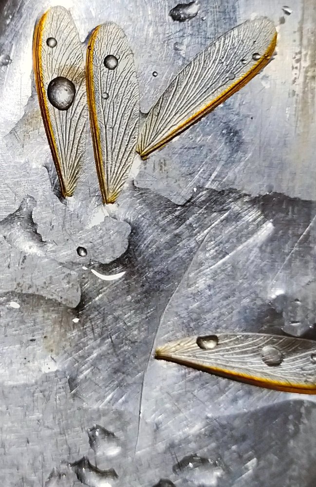 Photograph by Reena. E. M