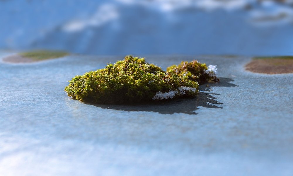 Photograph by Андрей Костромин