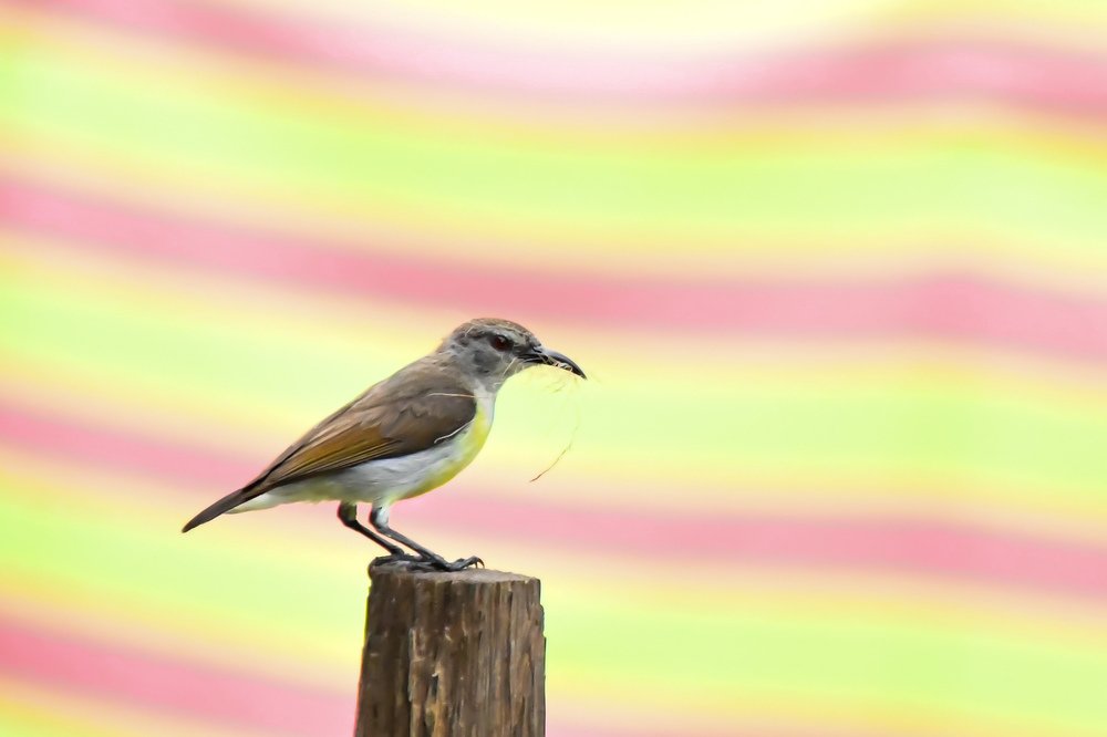 Photograph by Sai ManiKanta Balla