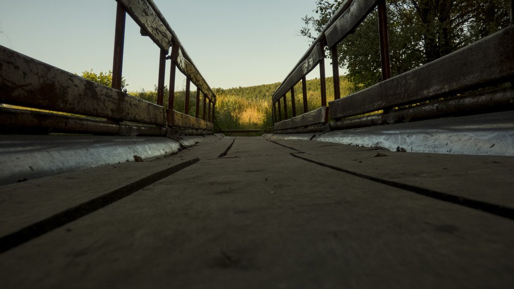 Photo #4732628