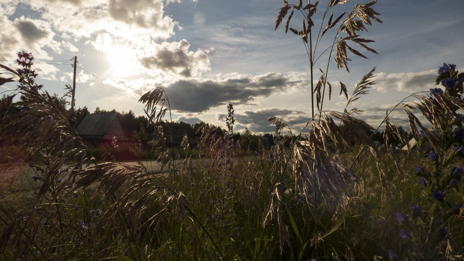 Photo #4732645