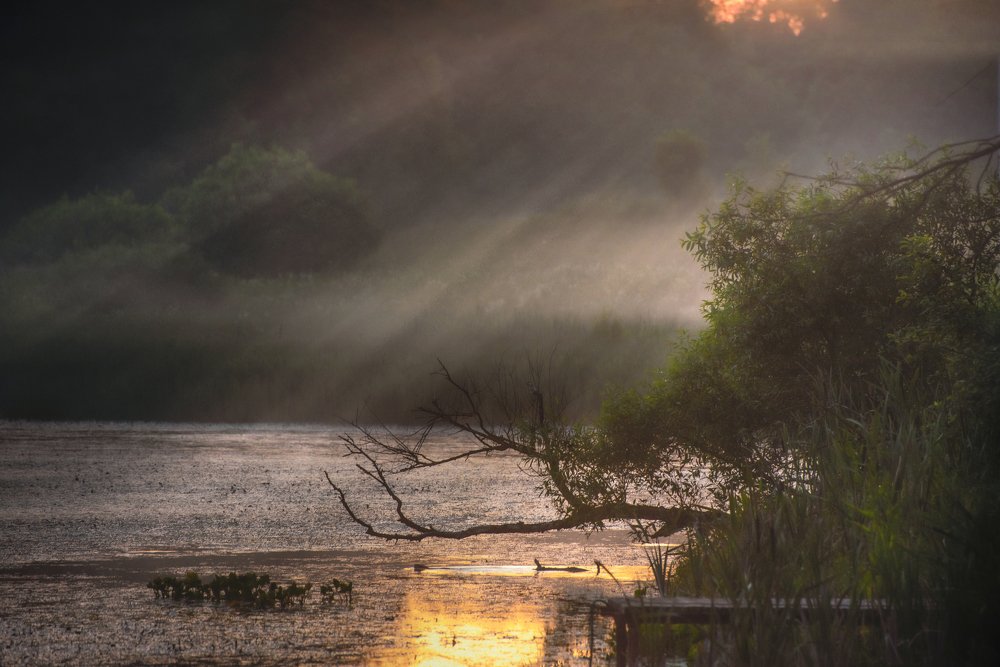 Photograph by Ekaterina Fadeeva