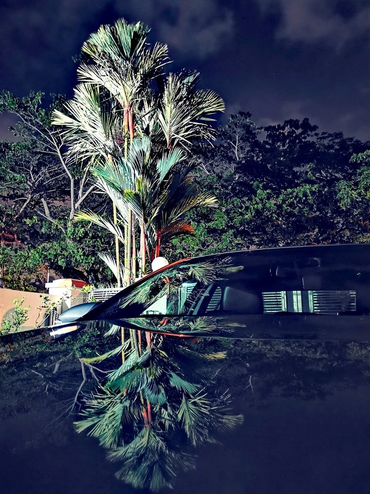 Early morning refection