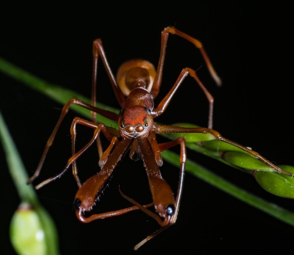 Photograph by Abhishek Manna