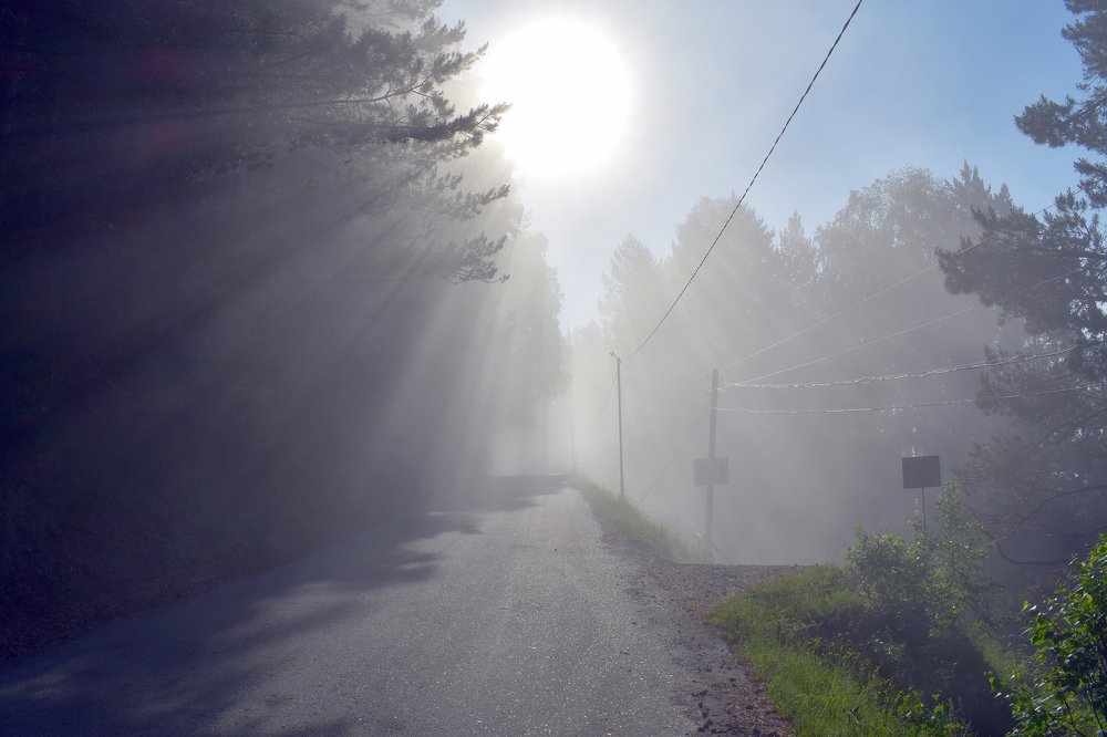 Сквозь туман