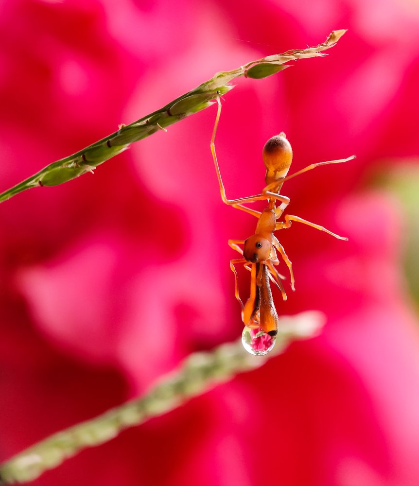 Photograph by Abhishek Manna