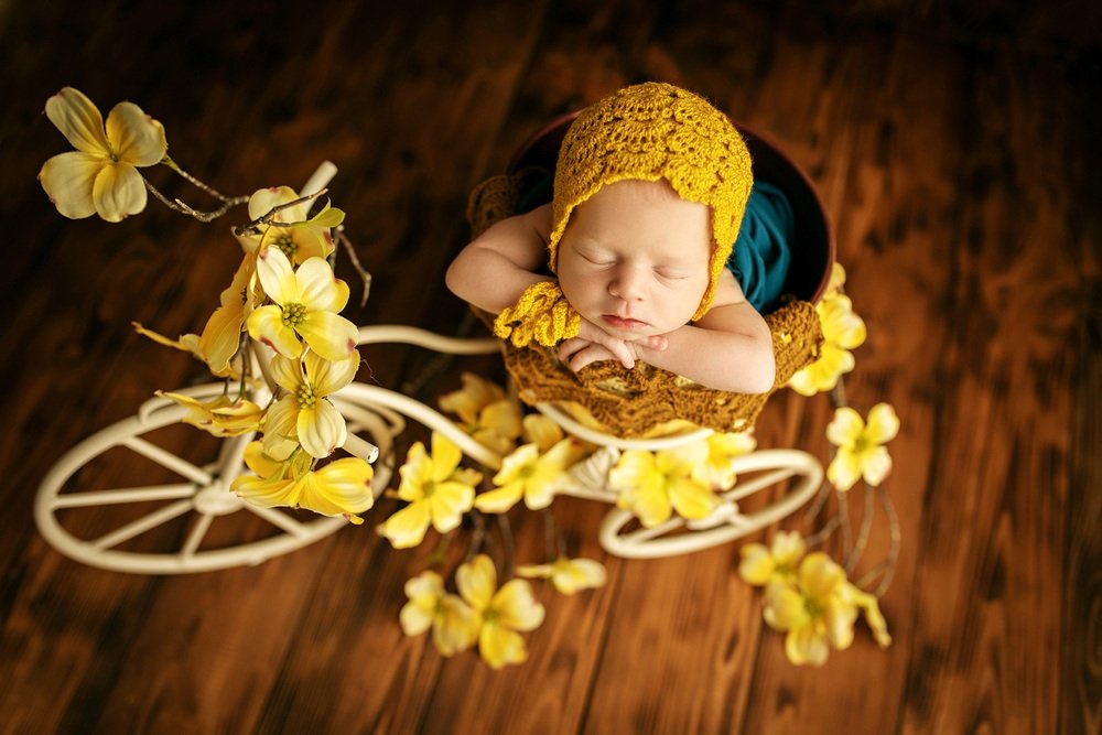 Photograph by Габайдуллина Марина