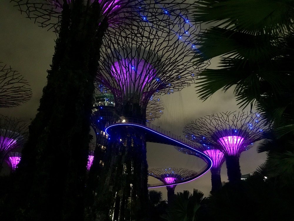 Photograph by Мария Шрейдер