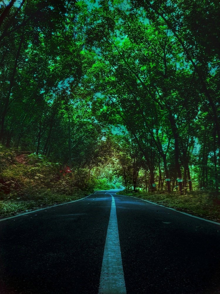 THE ROAD TO HEAVEN.