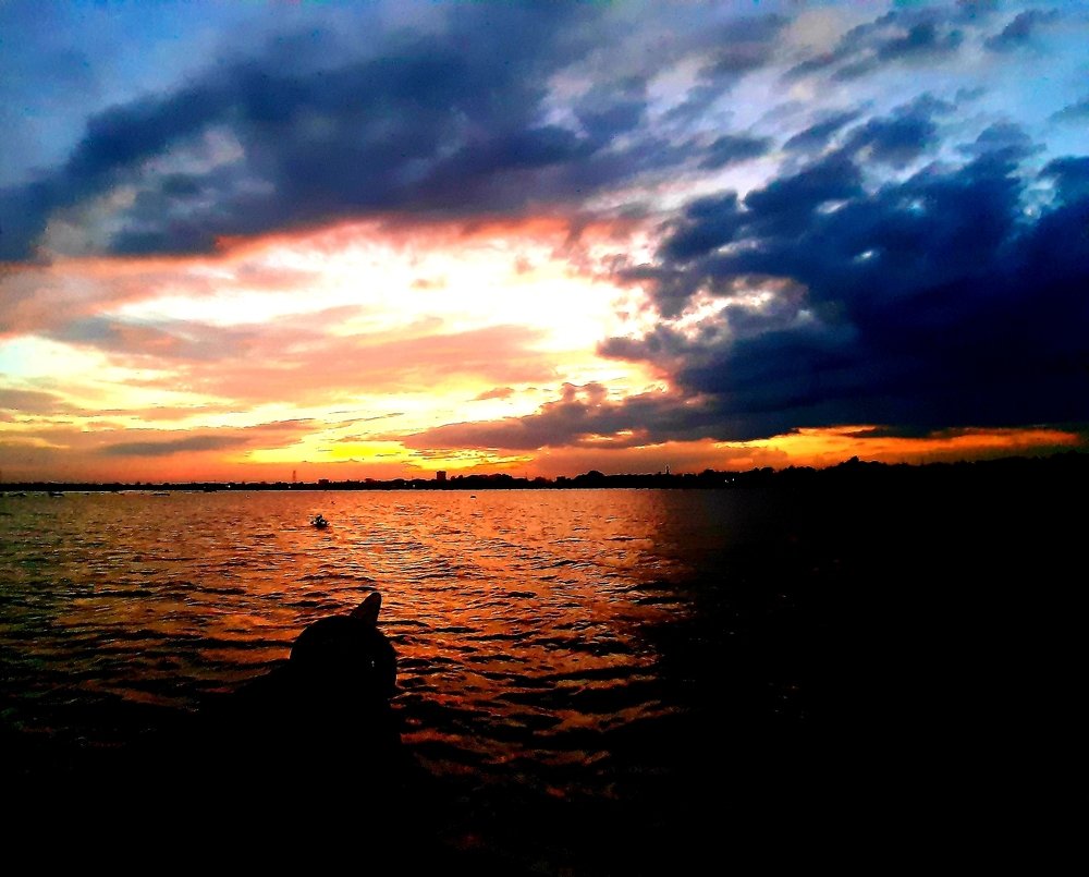 Photograph by Md. Roman Bin Jalal