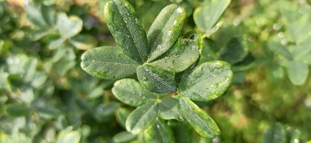 Photograph by Валентина Ильиных