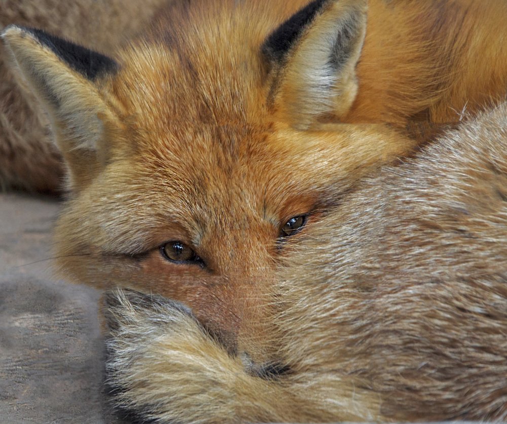 Photograph by Александра Климина