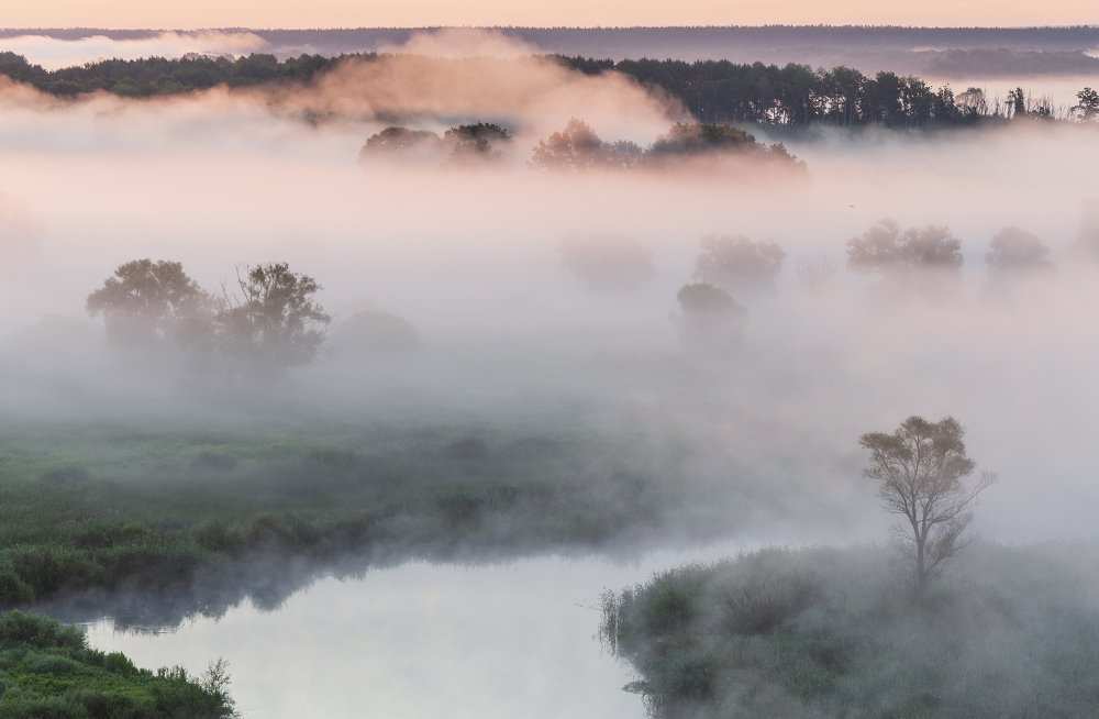 Photograph by Дмитрий Новоселов