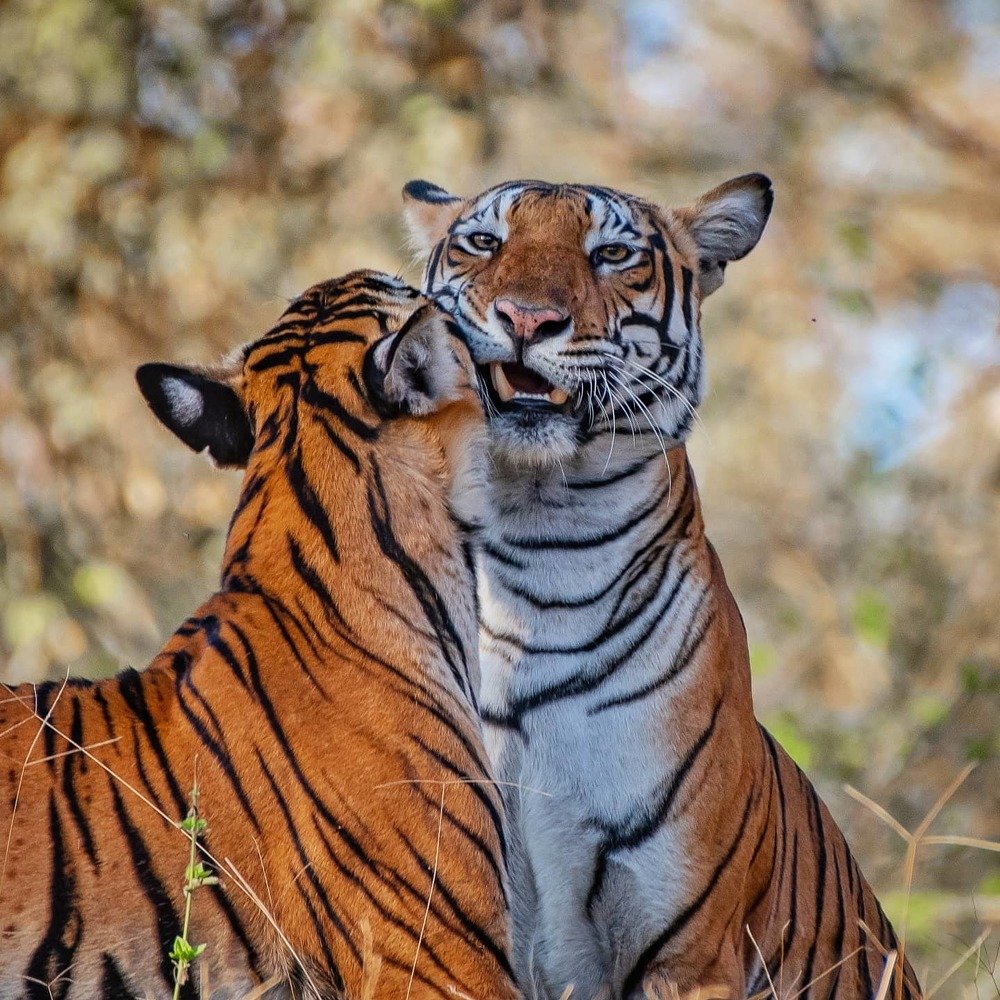 Photograph by vivek yadav