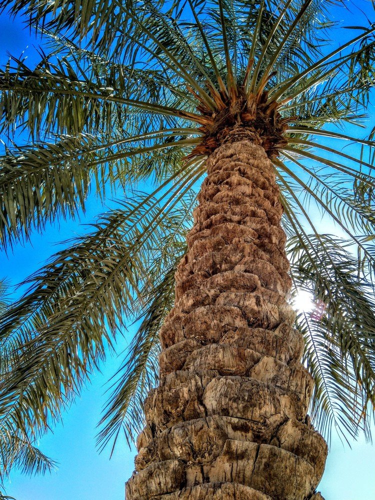 Фотография автора Jayed Wahib Ul Malik