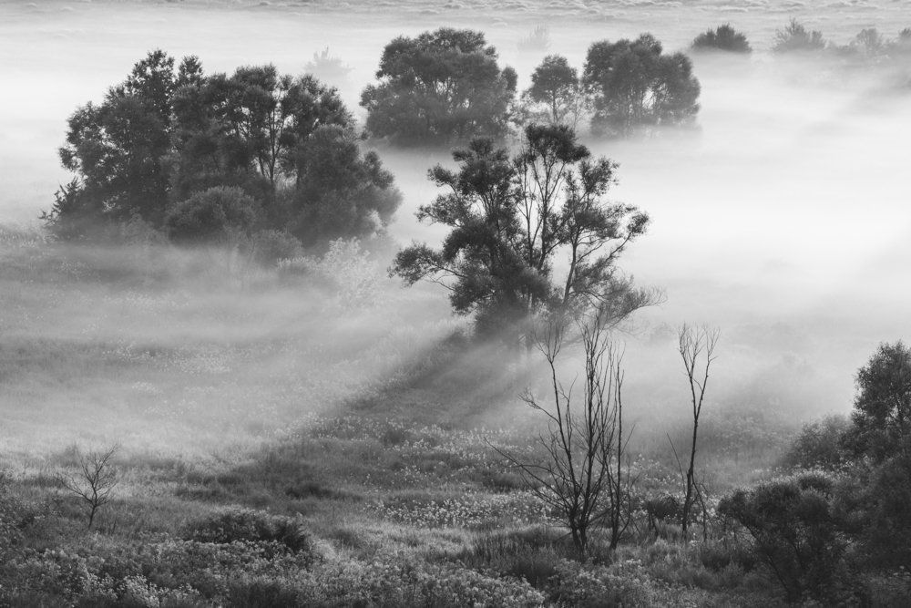 Photograph by Дмитрий Новоселов