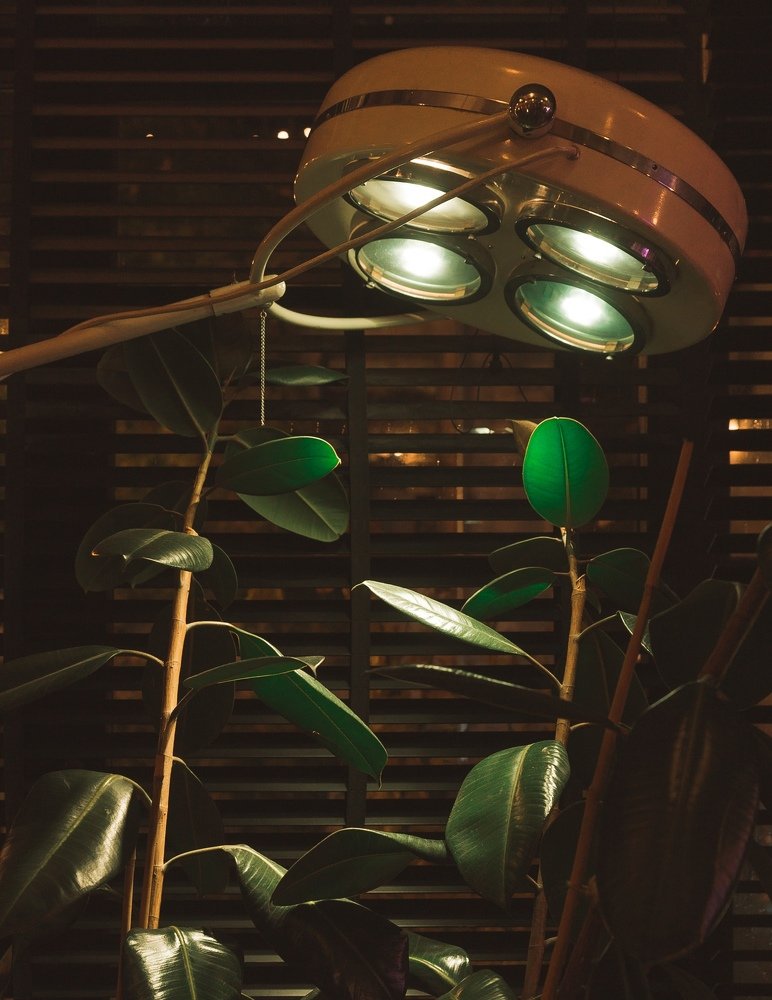 Photograph by Астрид Екатерина