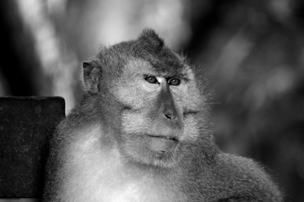 Photograph by tiffany vannini