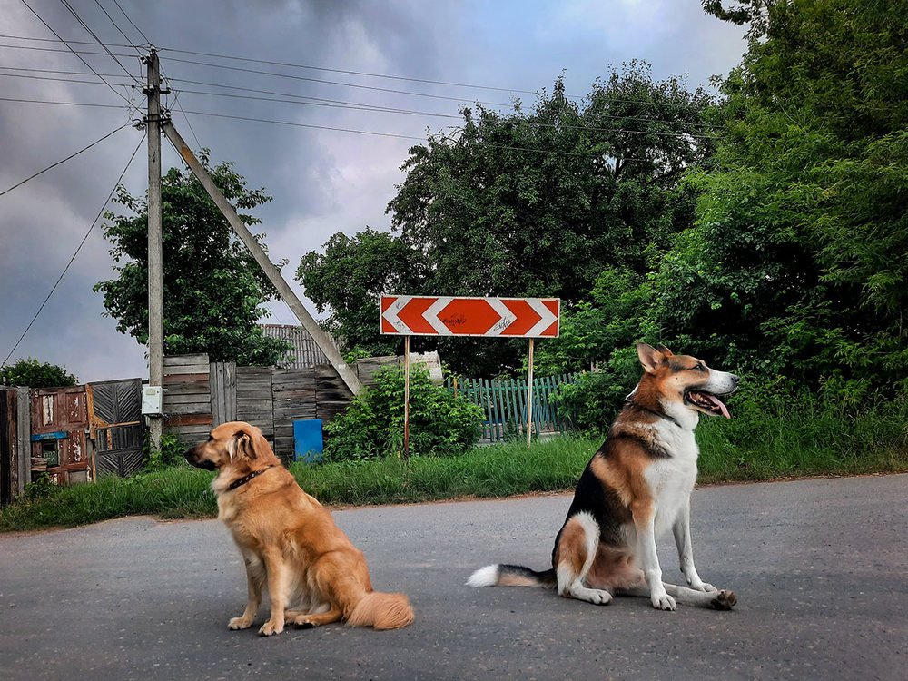 Photograph by Ольга Буракова