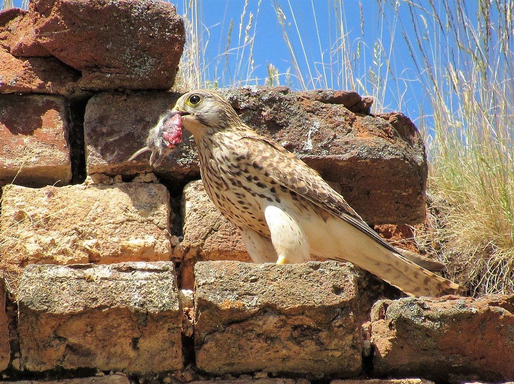 Photograph by Устюжанина Елена