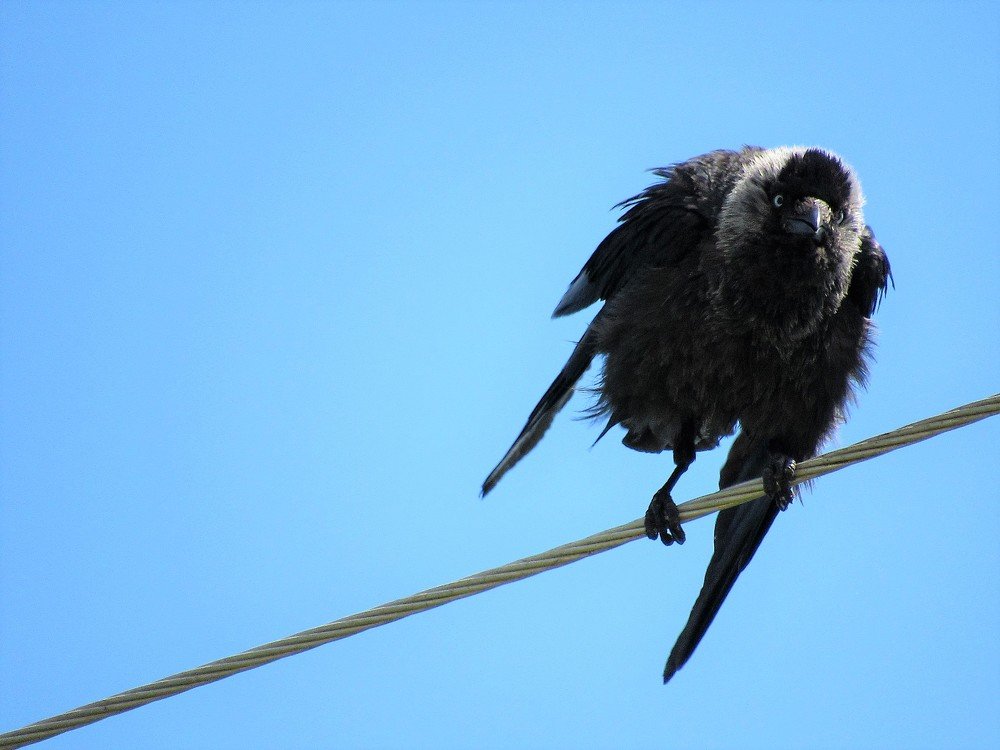 Photograph by Устюжанина Елена