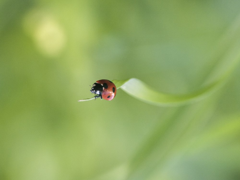 Photograph by Moulay Ahmed KASSI