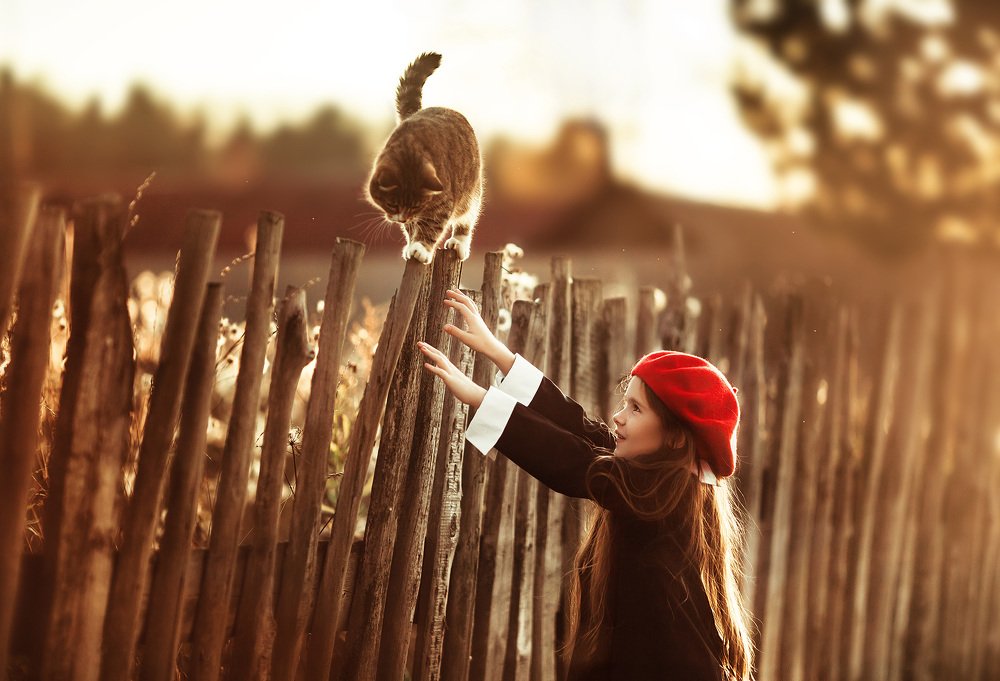 Photograph by Алина Иванова