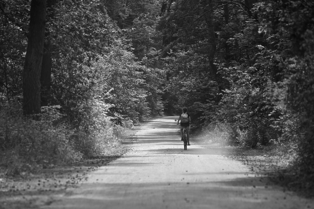 Фотография автора Наталья Васько -Черданцева