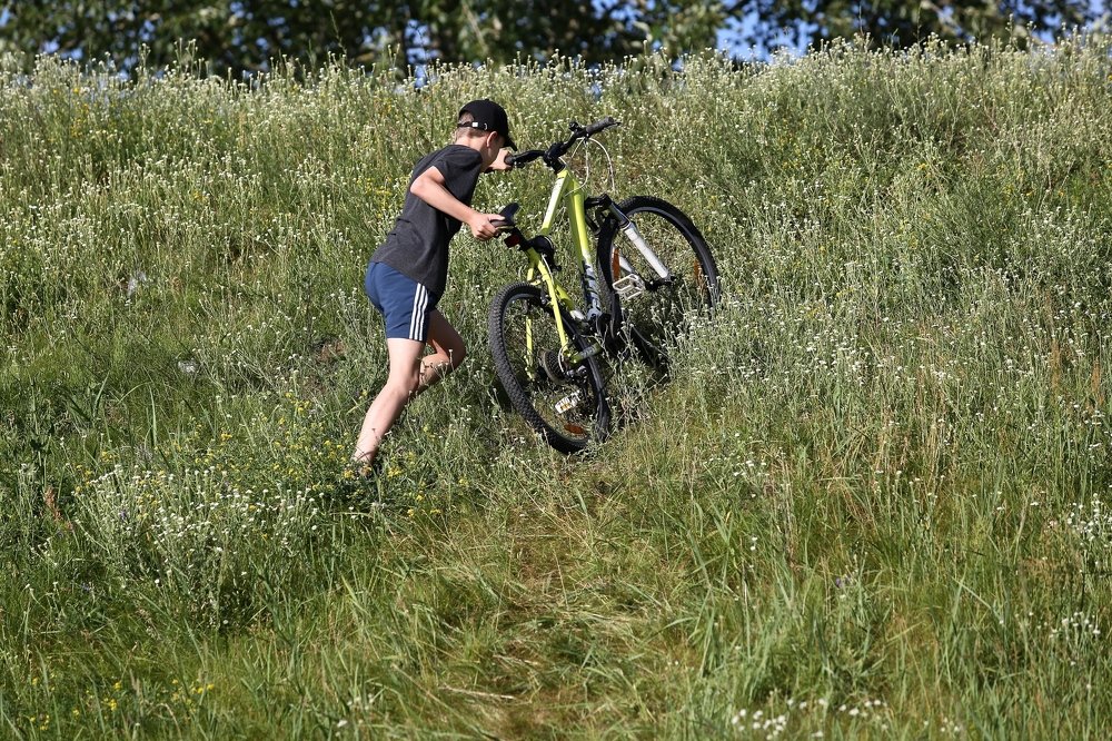 Фотография автора Наталья Васько -Черданцева
