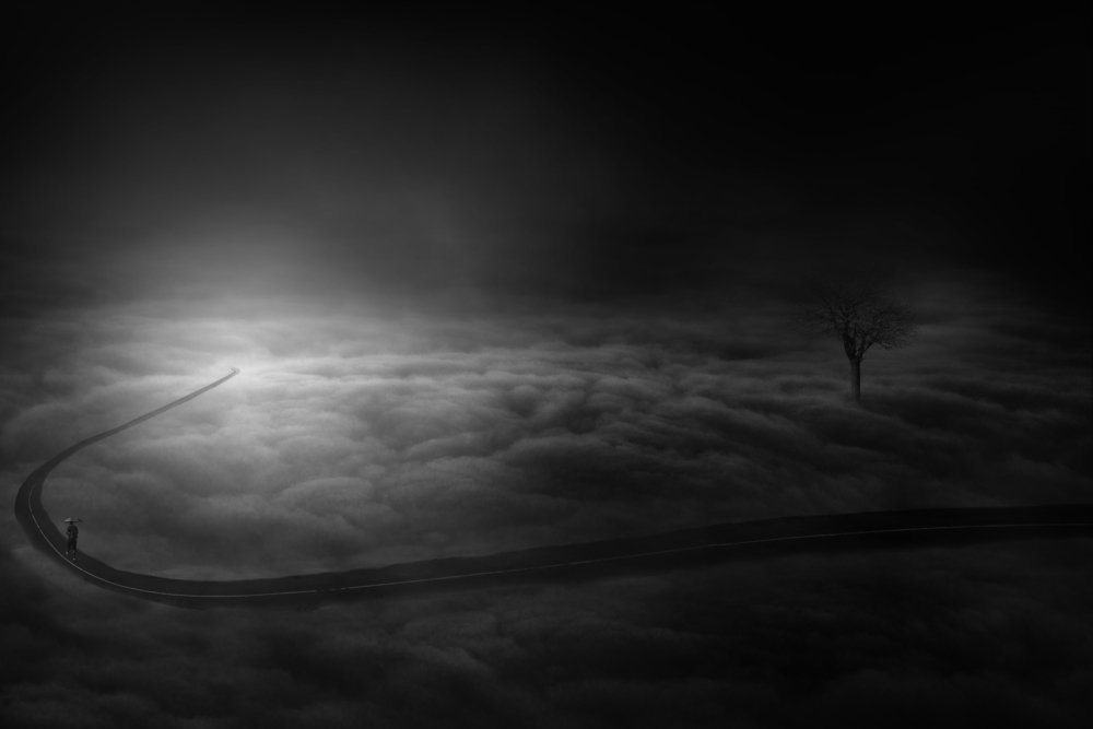 Photograph by seyed mohammad javad sadri