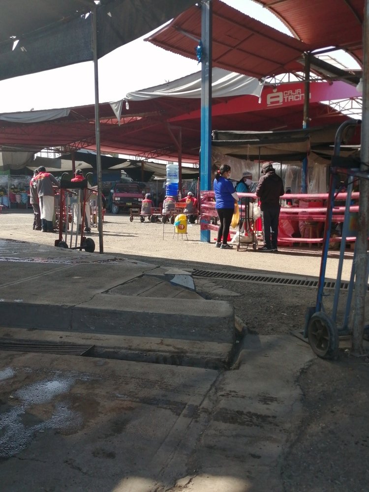 Photo #4733803