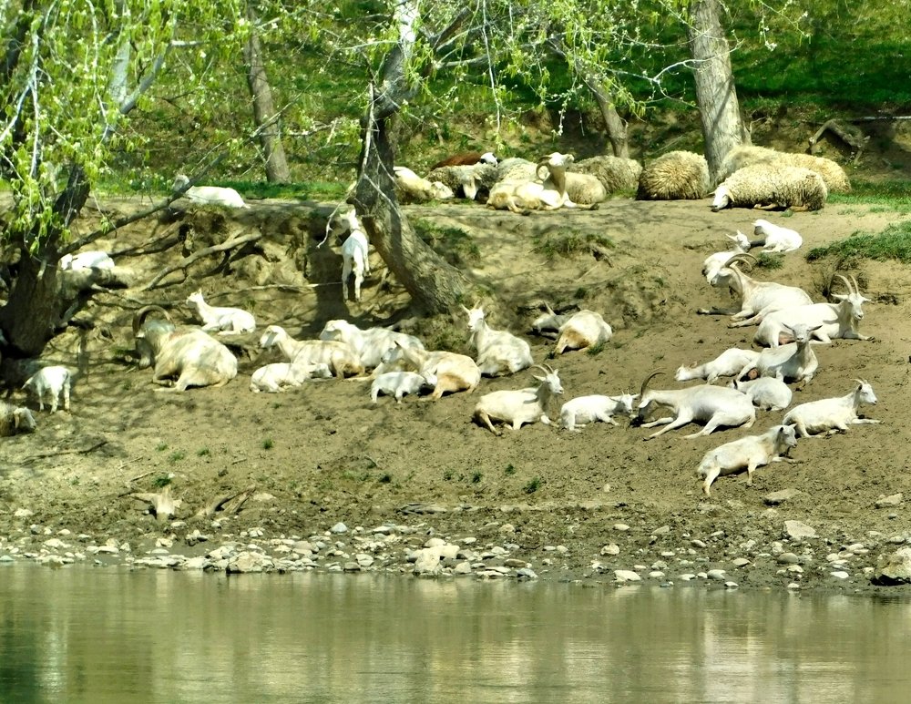 Photograph by Светлана Карпенко