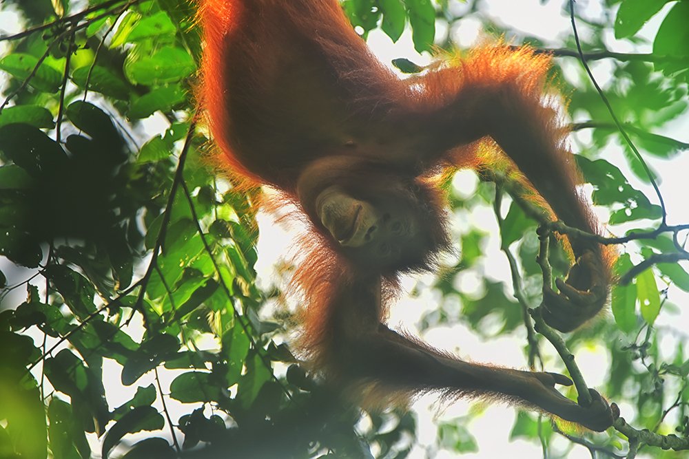 Photograph by Fauzan Alfin